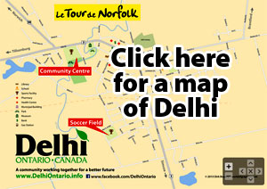 Delhi Map